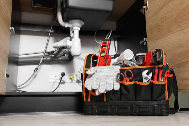 Best Leak Detection Services  in Roan Mountain, TN